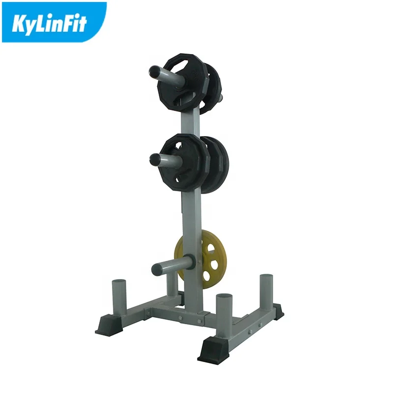 Gym-Accessories-Landing-Bumper-Plate-Rack.jpg