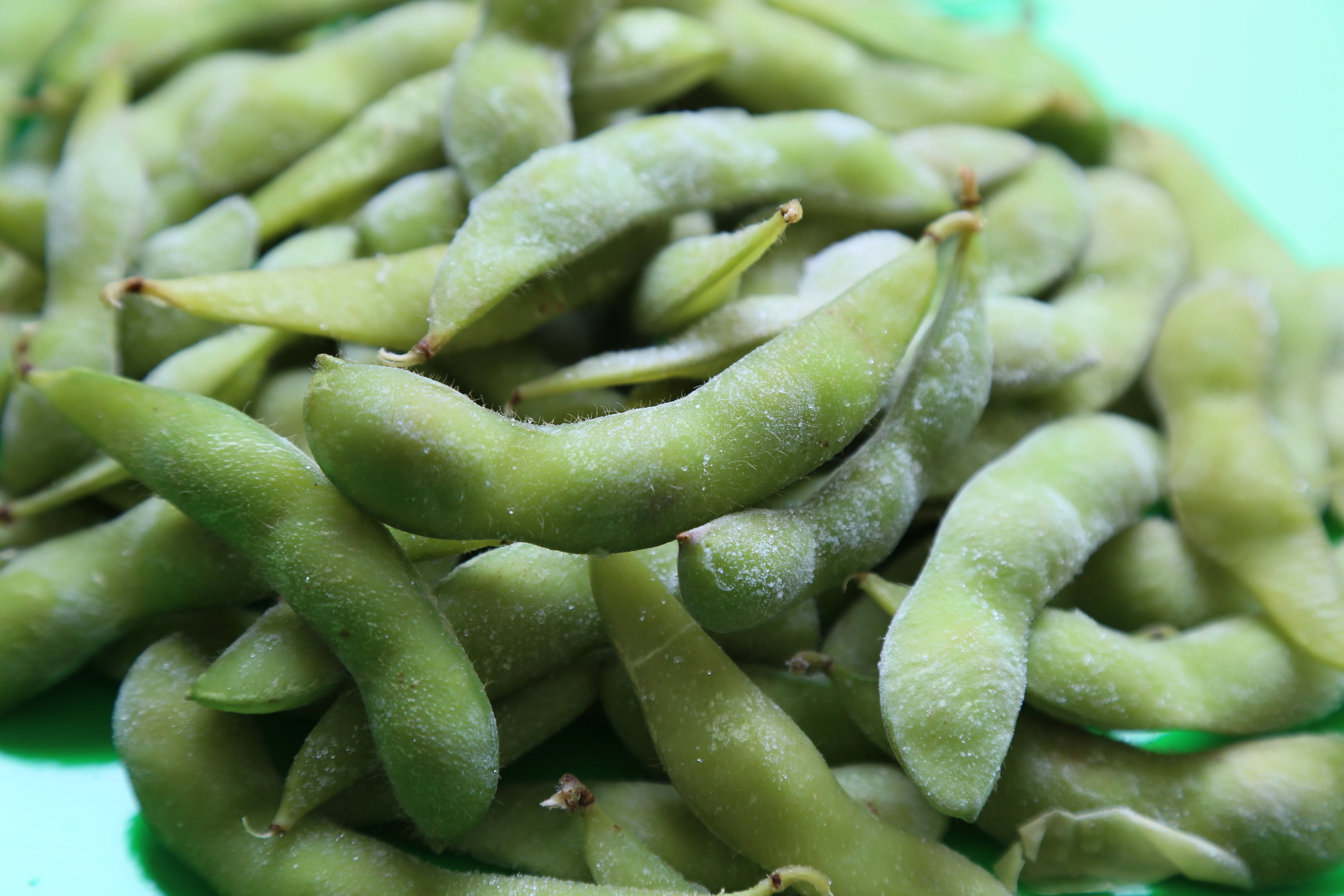 iqf frozen edamame pods