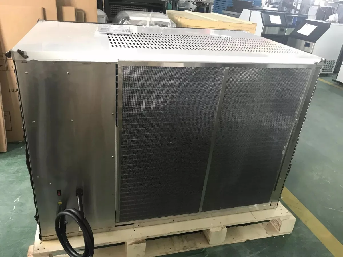 Full-Automatic ice cubes maker machine 900kg solar ice maker use for home