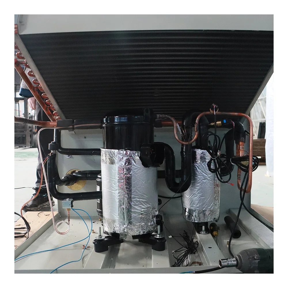 Side-embedded Monoblock Inverter Refrigeration Unit for Walk-in Freezer Chiller Small Cold Storage Room