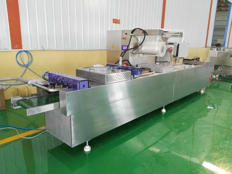 Stainless Steel Food  Automatic Vacuum Continuous Packing Machine Vacuum Packing Machine
