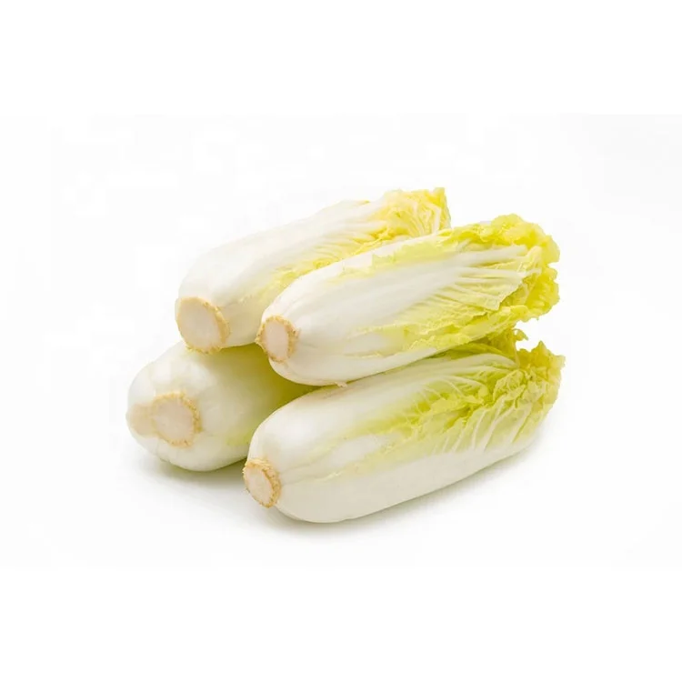 bulk fresh chinese cabbage for New Harvest Fresh  Chinese Baby Cabbage  export