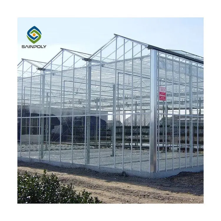 Agricultural in-solar single-span greenhouses with Hydroponics Growing Systems