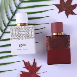 Portable Sample Style Glass Square Perfume Bottle 30 Ml, White Empty 30 Ml 50 Ml Square Bottle For Perfume