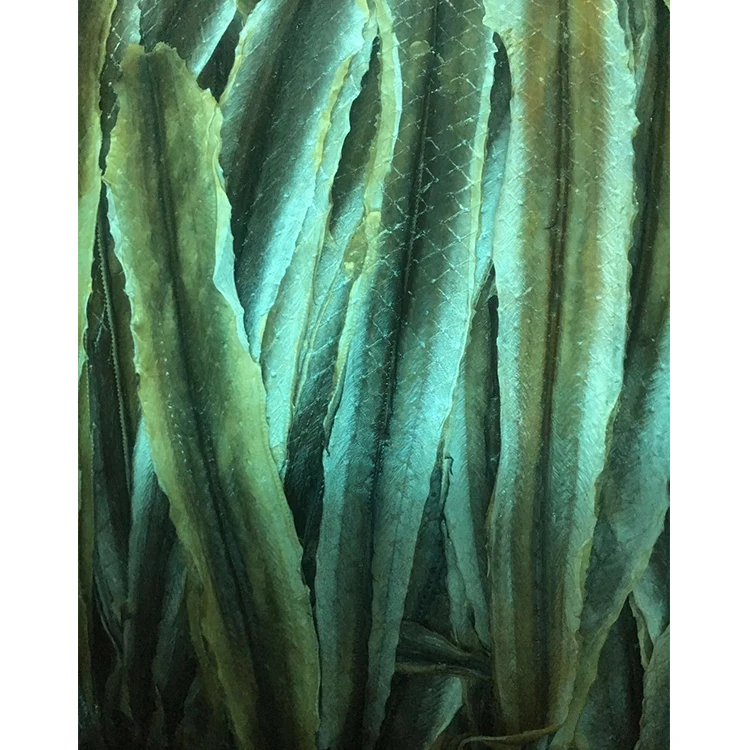 
Bulk Packaging Best Price Superior Quality Delicious Fresh Dried Eel Fish 