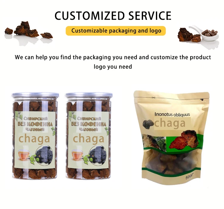 High Quality Birch mushroom Ganoderma lucidum cultivate wild Black Lingzhi Brown Hole Chaga Siberian Lingzhi