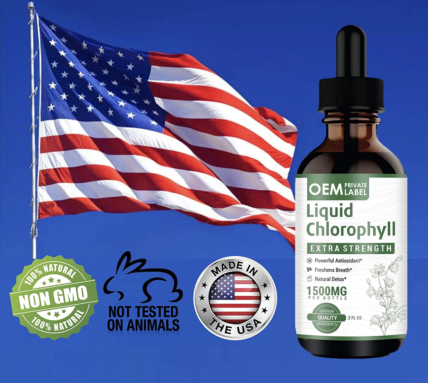 Liquid Chlorophyll Drops Immune System Support Digestion Wholesale Bulk Chlorophyll Liquid Drops Customized OEM