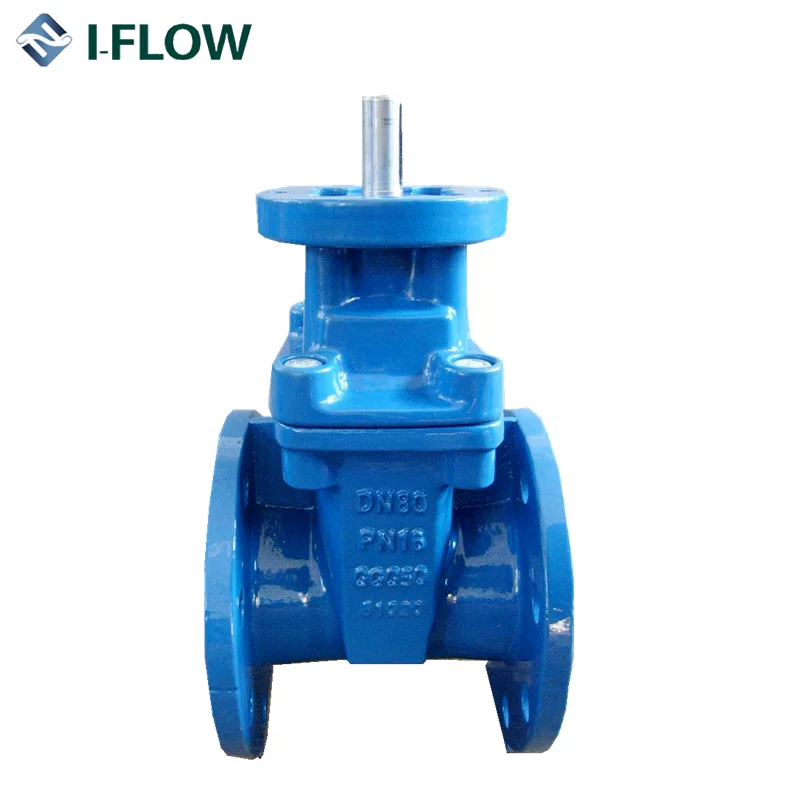 os&y solid wedge disc inside screw clip cast iron gate valve