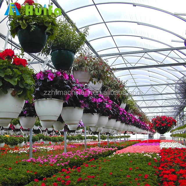 High Strength Agricultural Poly Tunnel Green Customize PE Film Large Planters Sides Ventilation with Roll up Machine 8m 3.3(M)