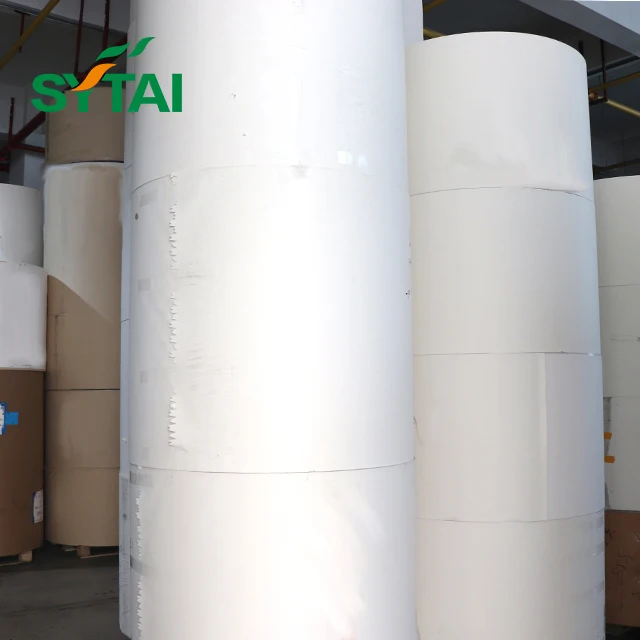 Sytai Manufacture Professional Paper Cup Raw Material Paper Cup Roll and Pe Coated Paper