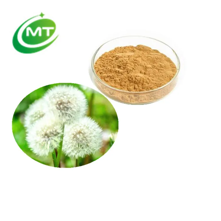 organic 10:1 5%Flavonoid Dandelion Extract Taraxacum officinale herb extract powder for water retention