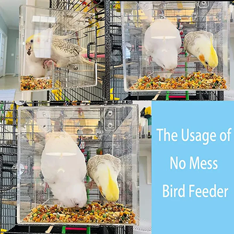 Customized Acrylic Bird Bath Cage with hanging Hooks for Small Bird Parrots Lovebirds
