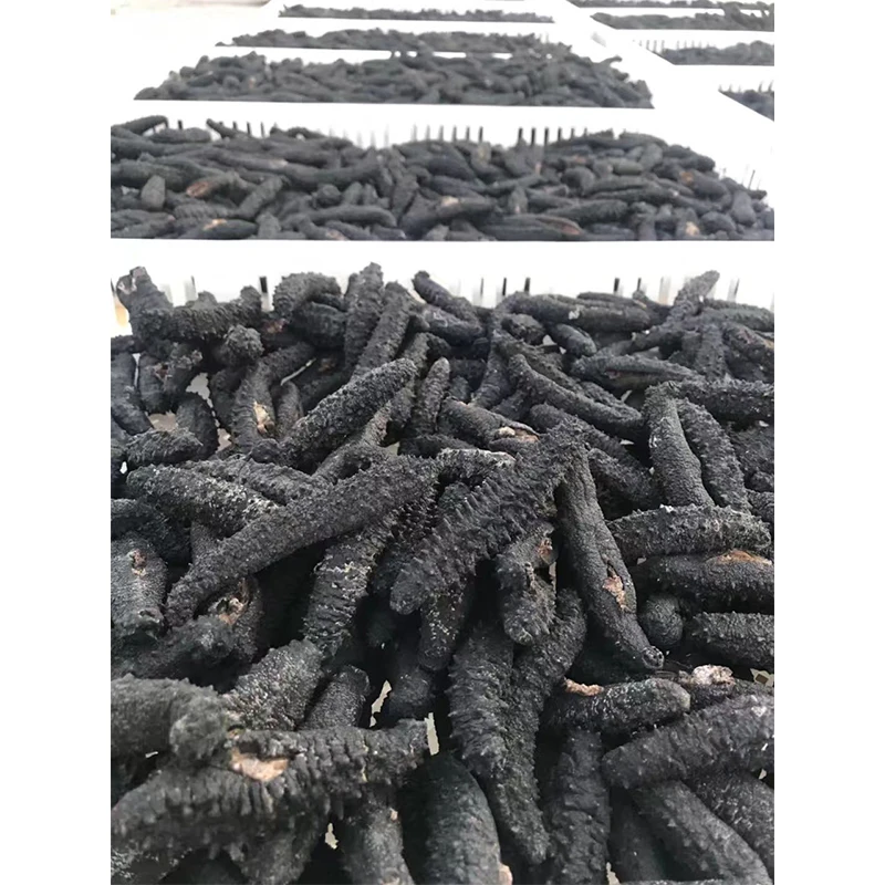 Сушеный морской огурец polii tubulosa, греческий морской огурец