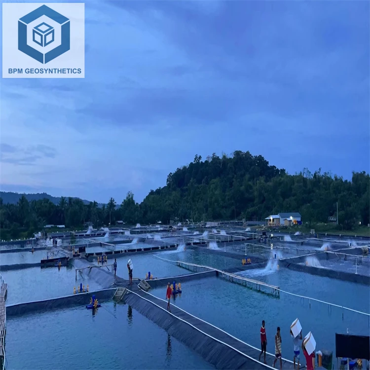 Geosynthetic Products HDPE Geomembrane Sheet HDPE Pond Liner Philippines for Shrimp Ponds in Indonesia