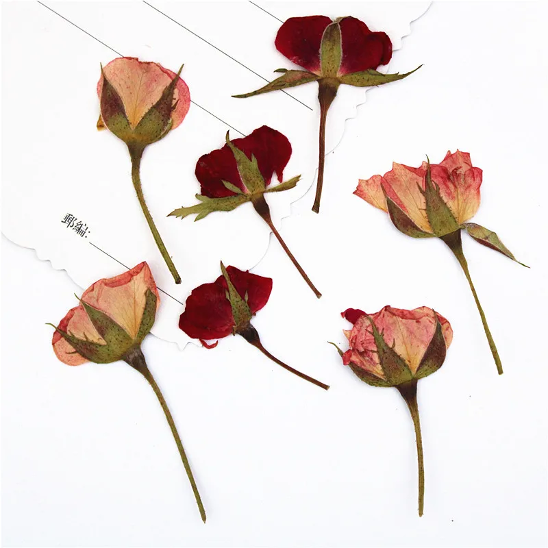 I623 Pressed Roses with Branches True Flower Material Package Dried Press Flowers Bookmark