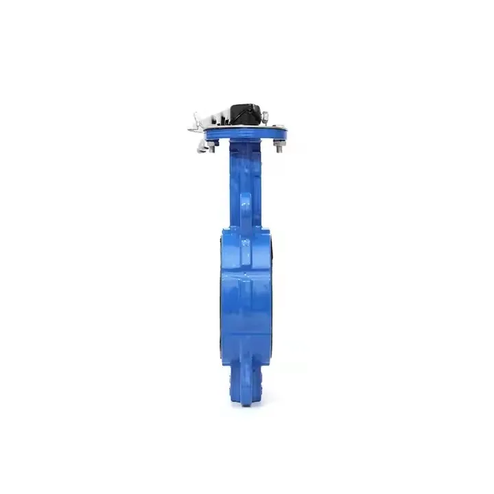 D71F-16Q 4 Inch Nodular cast iron manual tetrafluoroseal clamp Wafer butterfly valve