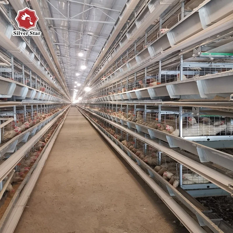 Chicken Cage Poultry Breeding Equipment for Sale in Pakistan Fully Automatic Egg Chicken Farm Layer Cage