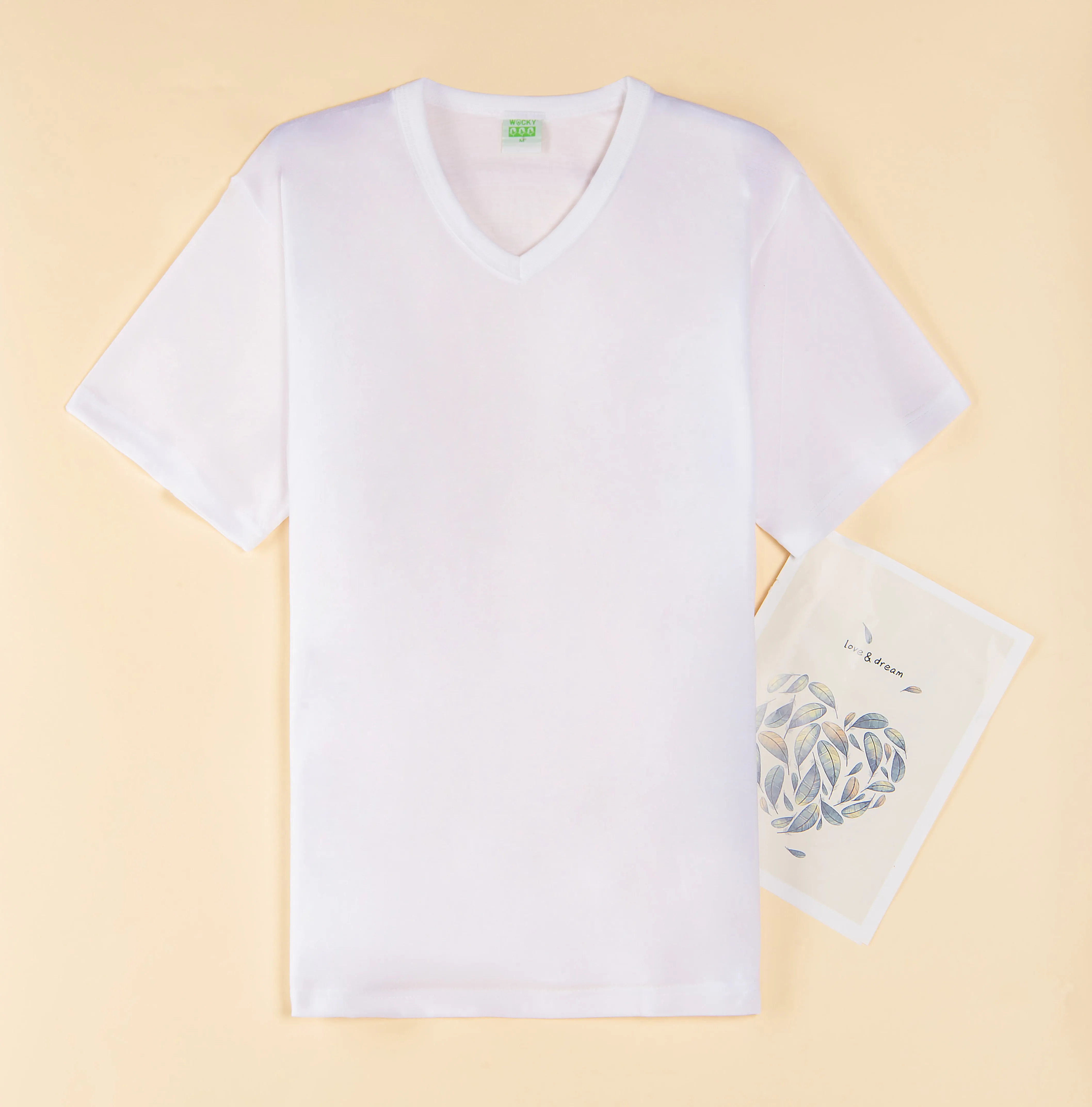 New fashion Custom Classic style Mens polyester t shirt Wholesale V-Neck T-Shirt Short Sleeve Blank White Vee NECK men t-shirts