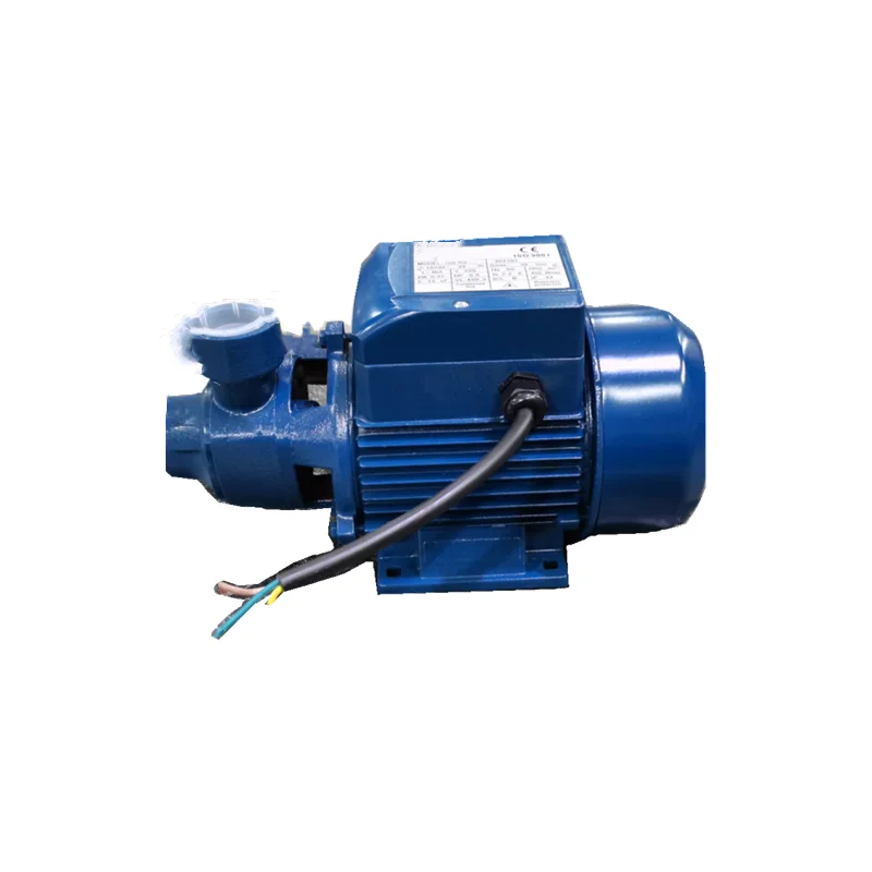 QB80 100% Copper Winding 0.75KW 1.0HP   Electric Water Pumps For Sale