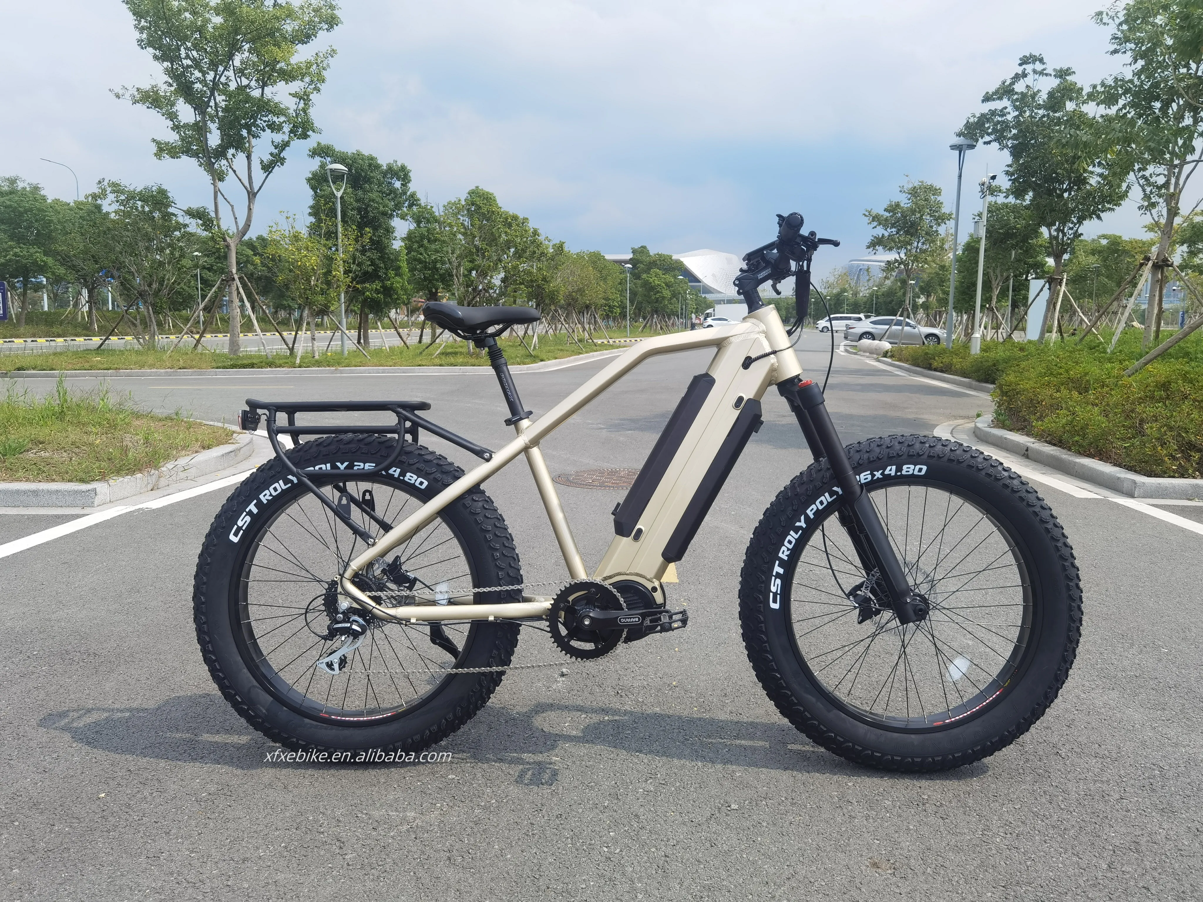 Mountain 26Inch'*4.8 CST Tires Dual 17.4Ah Hidden Battery 48V 1000W Bafang Mid Dive Motor Fat Tire Electric Bike