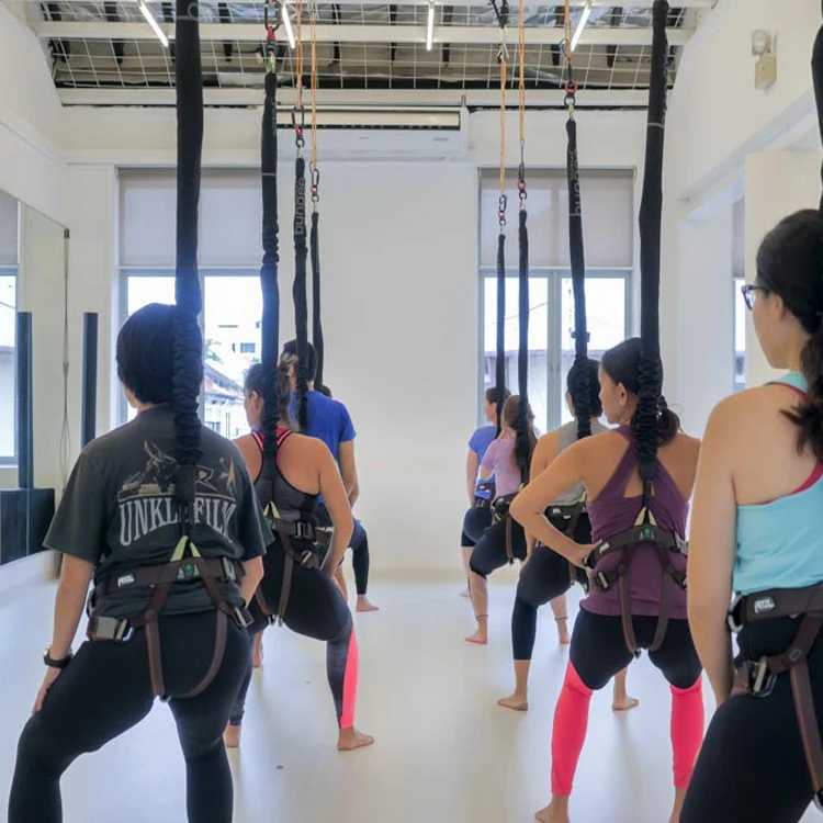 New Fitness Bungee Dance Equipment Swing Harness Rope