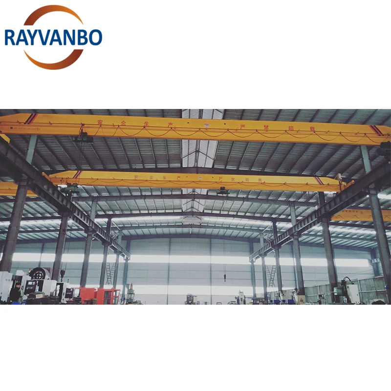 Rayvanbo Wholesale Price Workshop Double Girder Beam Eot Bridge Crane with Electric Hoist 5ton 10ton Ponte Rolante