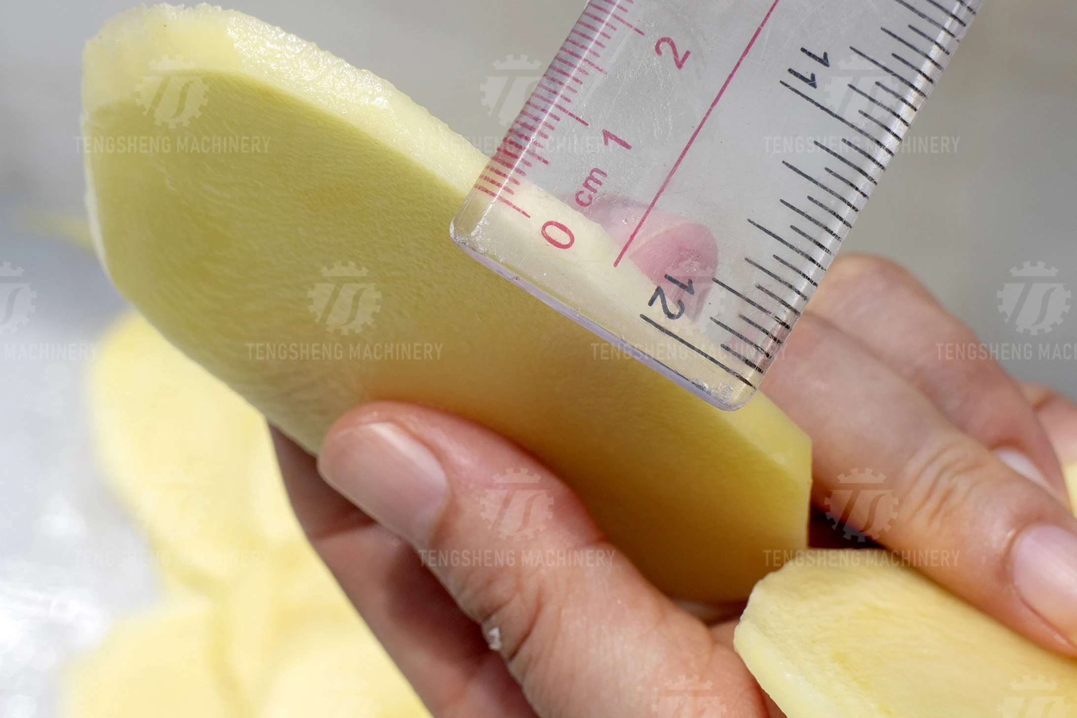 Automatic Leaf Stem Vegetable Cutting Machine Carrot Cabbage Onion Vegetable Cutter Chopper Shredding Machine