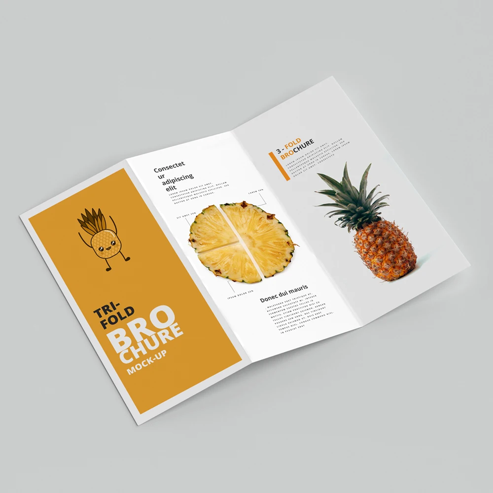 High Quality Custom Soft Touch Printing Tri-fold Paper Brochure For Fruit