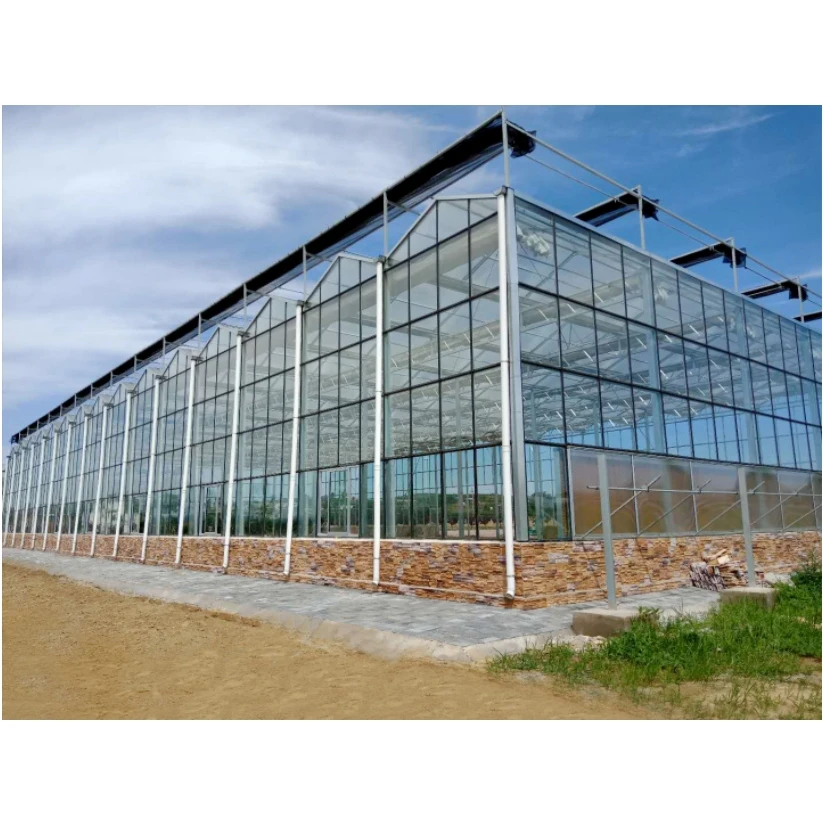 Multi-span greenhouse with  full-automatic climate control systems