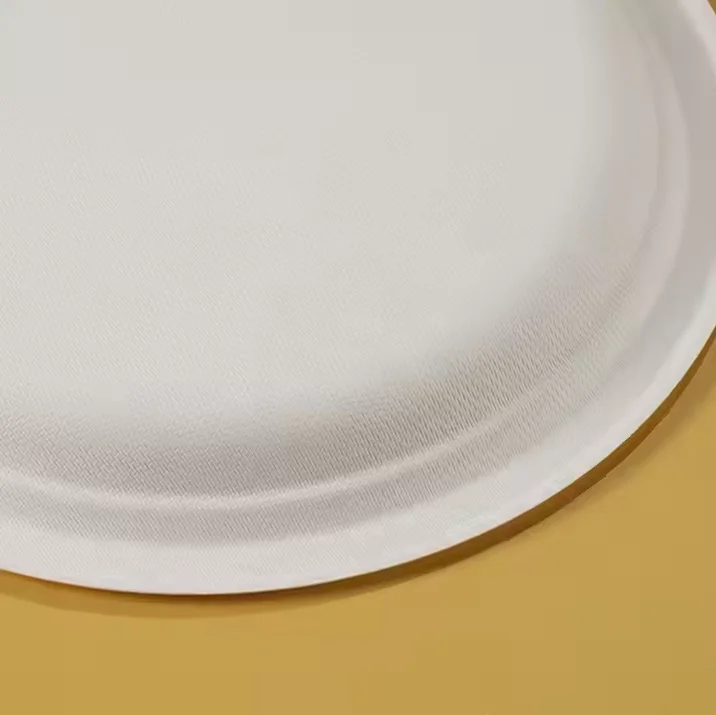 Hot Sale Disposable Sugarcane Bagasse Plate Party Paper Plates for Wedding Festival & Parties