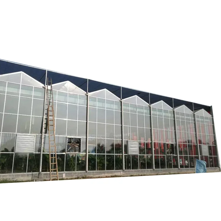 Large High Wind Snow Load Greenhouse Glass Agricultural Greehouses With Hydroponic System