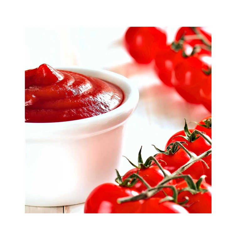 Concentrate tomato paste canned 400g tin 28-30% brix canned tomato paste