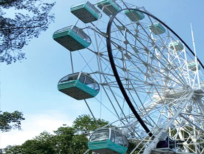 30M amusement wonder  kids park  ferris wheel