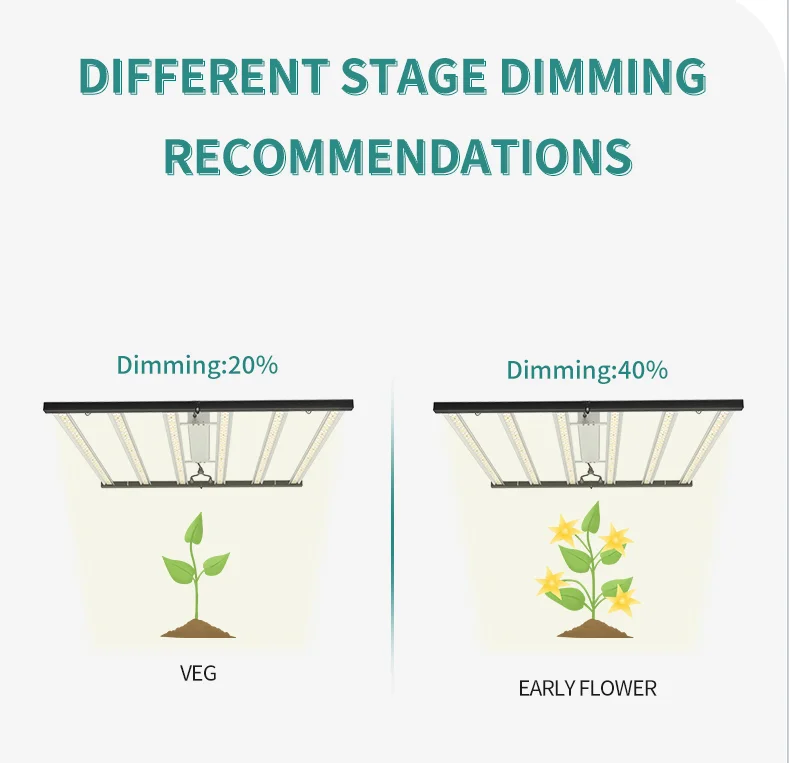 Full Spectrum Light 660nm Plant Light 800w 1000w 1200w LED Plant Grow Lamp For Indoor Vertical Farming