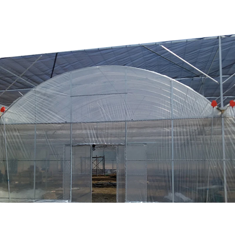 SUNSGH 48X40m multi span greenhouse for growing tomato Green house