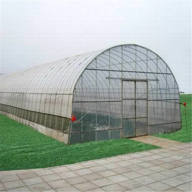 Tunnel green house manufacturers automated greenhouses suppliers turnkey from china greenhouses kit