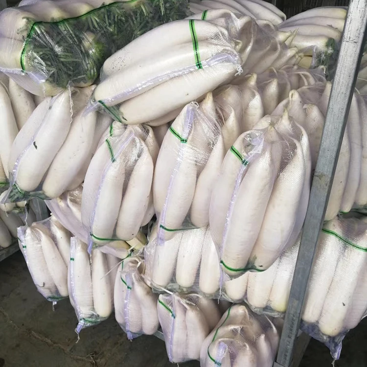 Прямые продажи белой редьки которая регулирует живот и способствует пищеварению