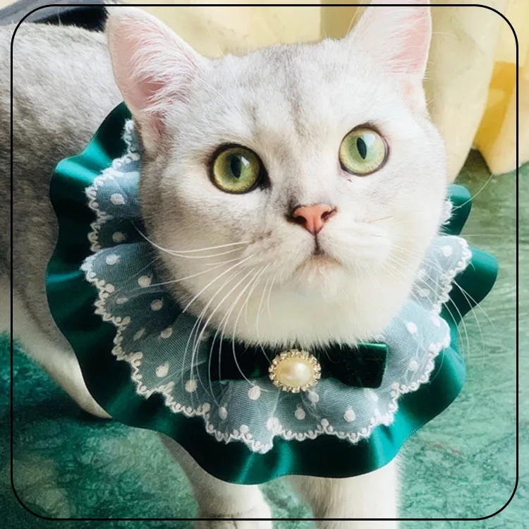 Pet accessories Christmas style cat dog rabbit lace collar bell adjustable choker