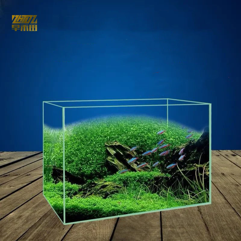 Glass HD fish tank 5in1 Glass fish tank Foshan factory small aquarium