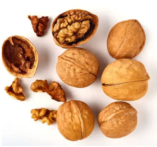Wholesale Rich in Nutrition Walnut and Paper Shell Walnut from Xinjiang