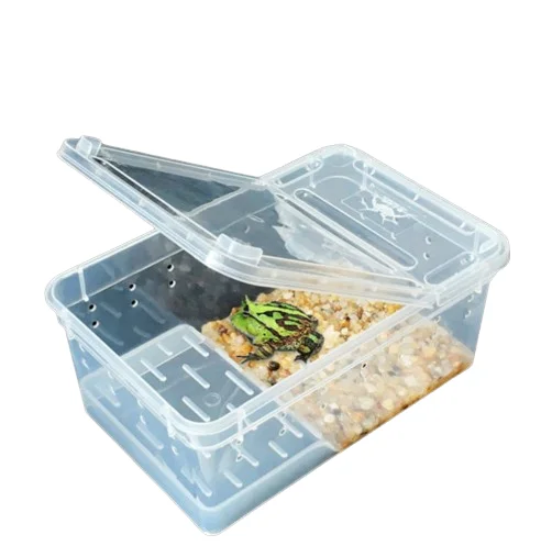 Horned Frog Feeding Box Amphibious Feeding Box Shougong Ciliary Horn Spider Insect Turtle Player Snake Anti-Escape Feeding Box