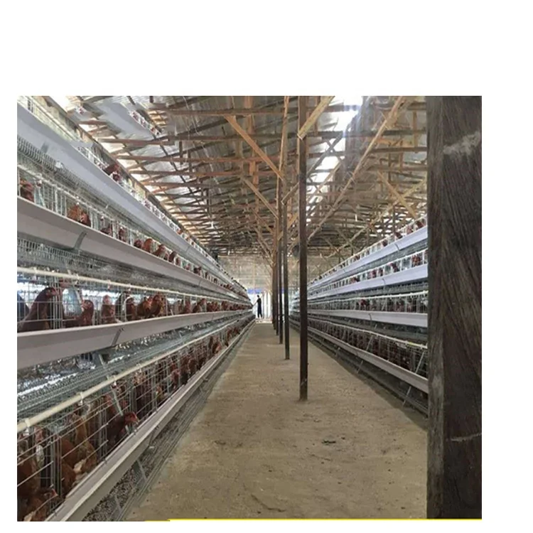 Hot Sale Automatic A Type Egg Laying Cage Price Breeding Hens Battery Layer Chicken Cage For Used In Poultry Farming Equipment