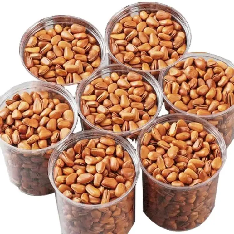 High quality raw pine nuts cooked pine nuts roasted pine nuts