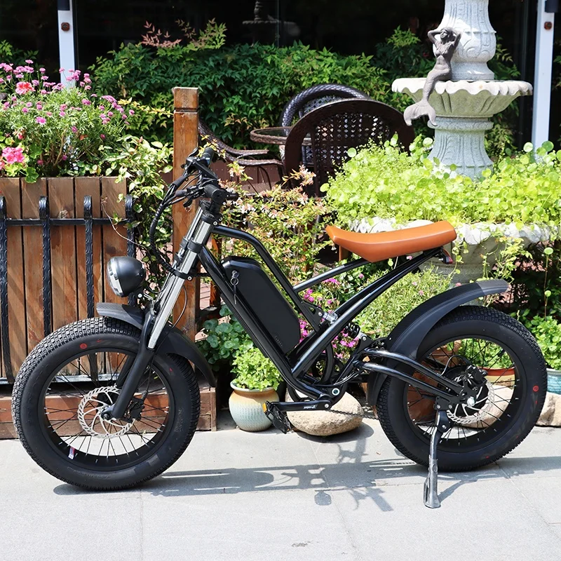 Professional Disc Brake 20inch Electric Bicycle Fat Tire Bike 750w Adult Electric Mountain Bike With Removable 48v 13ah Battery
