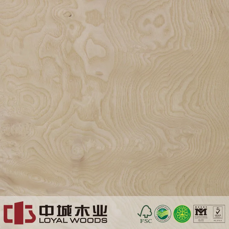Natural White Ash Burl Veneer Wood Veneer for Interior Decoration House Furniture plywood