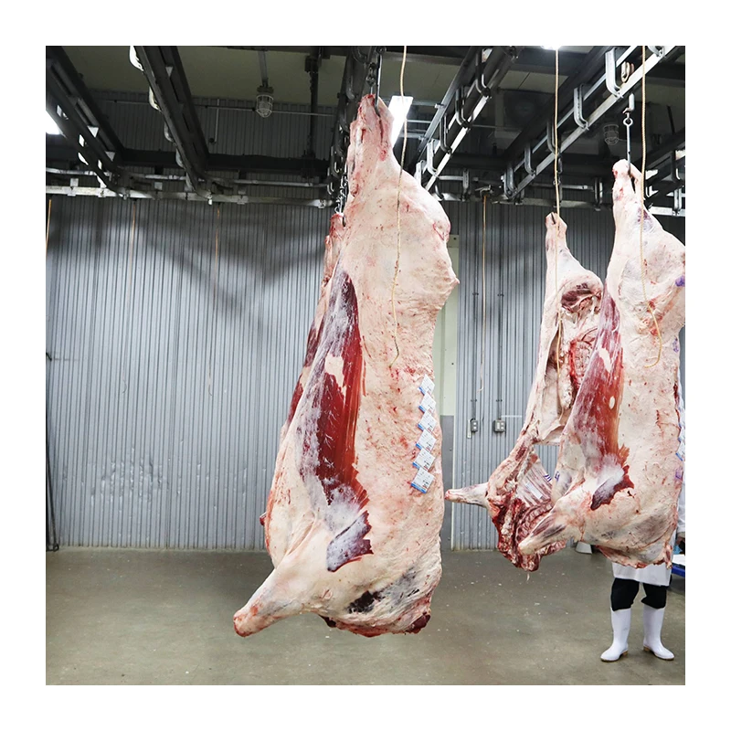 Japanese exporter a5 wagyu frozen fat beef cubes for wholesale