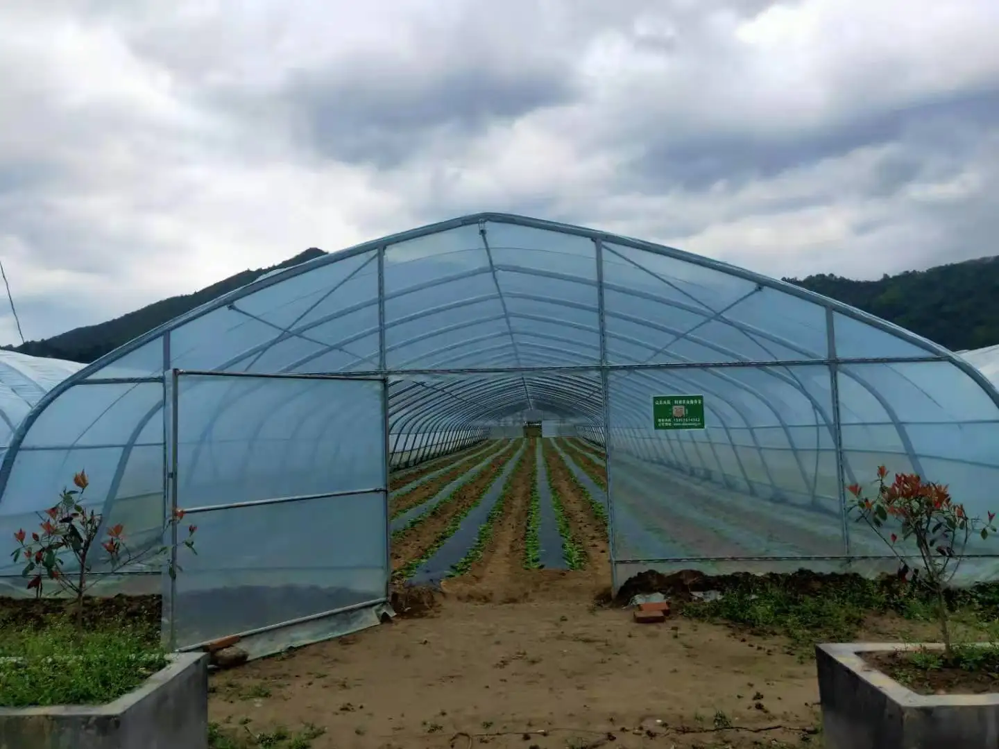 
Clear Plastic Shed Tunnel greenhouse 