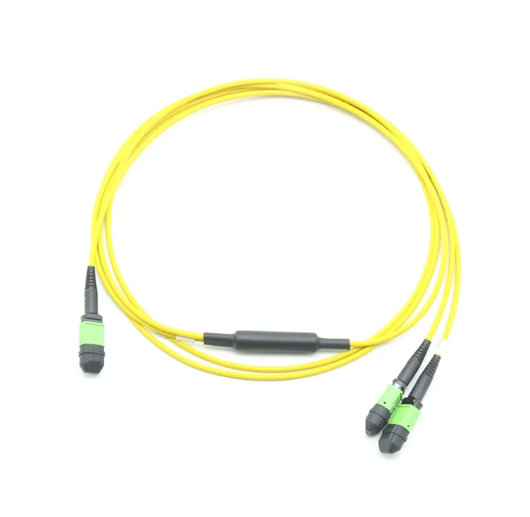 
Single mode OS2 24 Fiber MPO(female) to 2x 12 Fiber MPO(female) Trunk Cable Patch Cord Polarity B 2M 