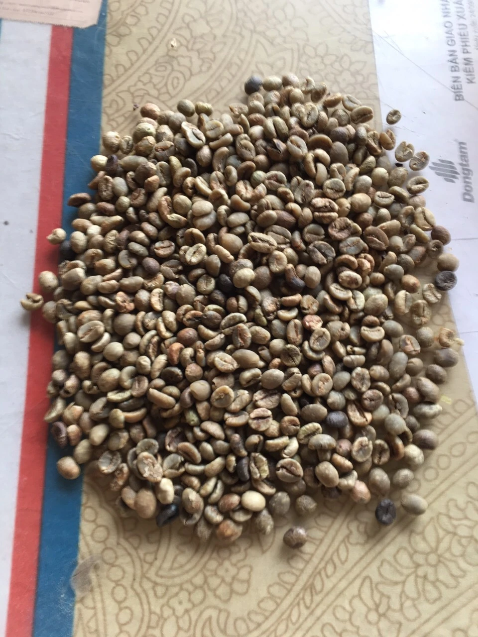 Wholesale Arabica Coffee Beans 100% pure organic coffee high grade Arabica Green Coffee Beans from Vietnam