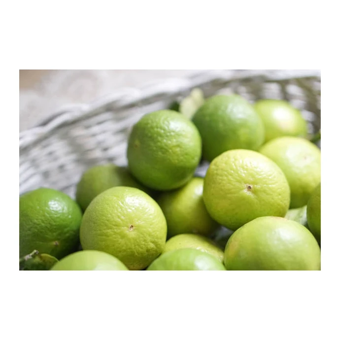 Hot Sale Fresh Premium Persian Lime - Top Quality, Best Price, Directly From Producers In Mexico